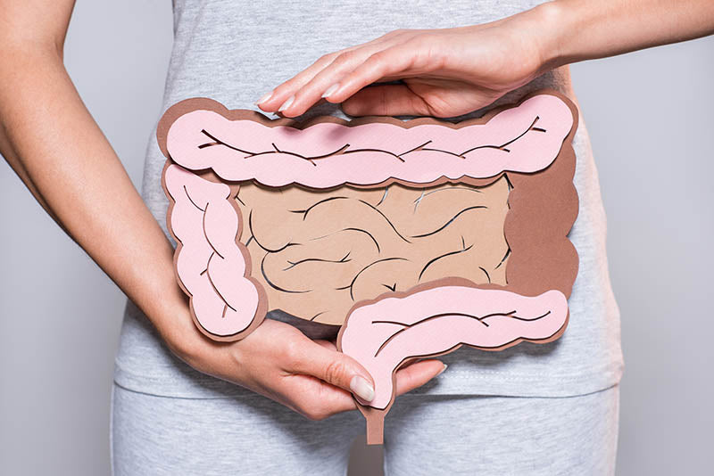Organic Pecans: Nurturing Your Digestive Health Naturally