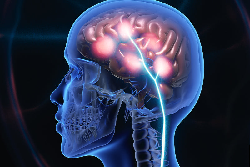 How Organic Pecans Reduce the Risk of Stroke