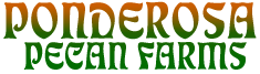 Ponderosa Organic Texas Pecans