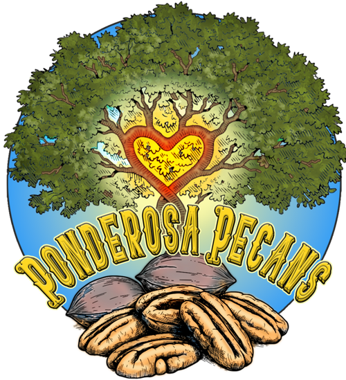 Ponderosa Pecans logo — tree with a heart and pecans
